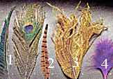 Moyennes et gandes plumes pour le montage