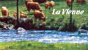 Rivire La Vienne sur le plateau des Millevaches (87)