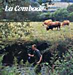 Rivire La Combade (87)