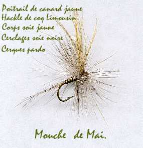 Mouche de mai,  "type sche"