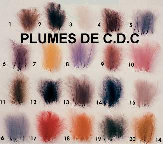 Divers coloris de C.D.C